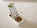 【 茶彩 Tea Palette 】藕荷