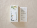 【 茶彩 Tea Palette 】藕荷