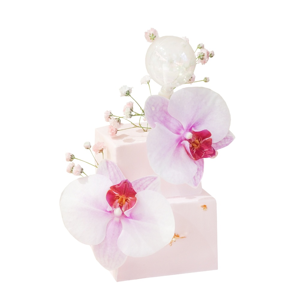 Beauty w/ Moth Orchid & Gypsophila
