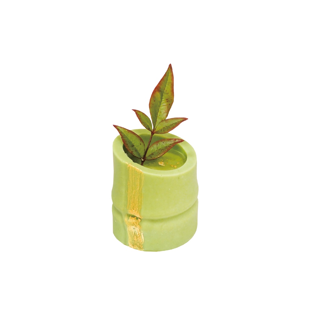 Bamboo