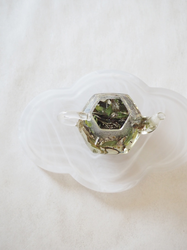 和悅 —— 政和白牡丹