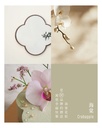 Crabapple 海棠