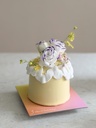 Smile w/ Eustoma & Dancing-Doll Orchid