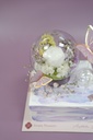 【Summer Special】Summer Dream