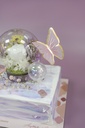 【Summer Special】Summer Dream