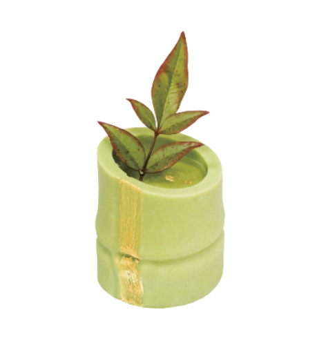 Bamboo 詠竹 (Min. 8pcs)