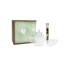 SP Tea Moment