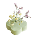 Crabapple 海棠 (Min. 8pcs)