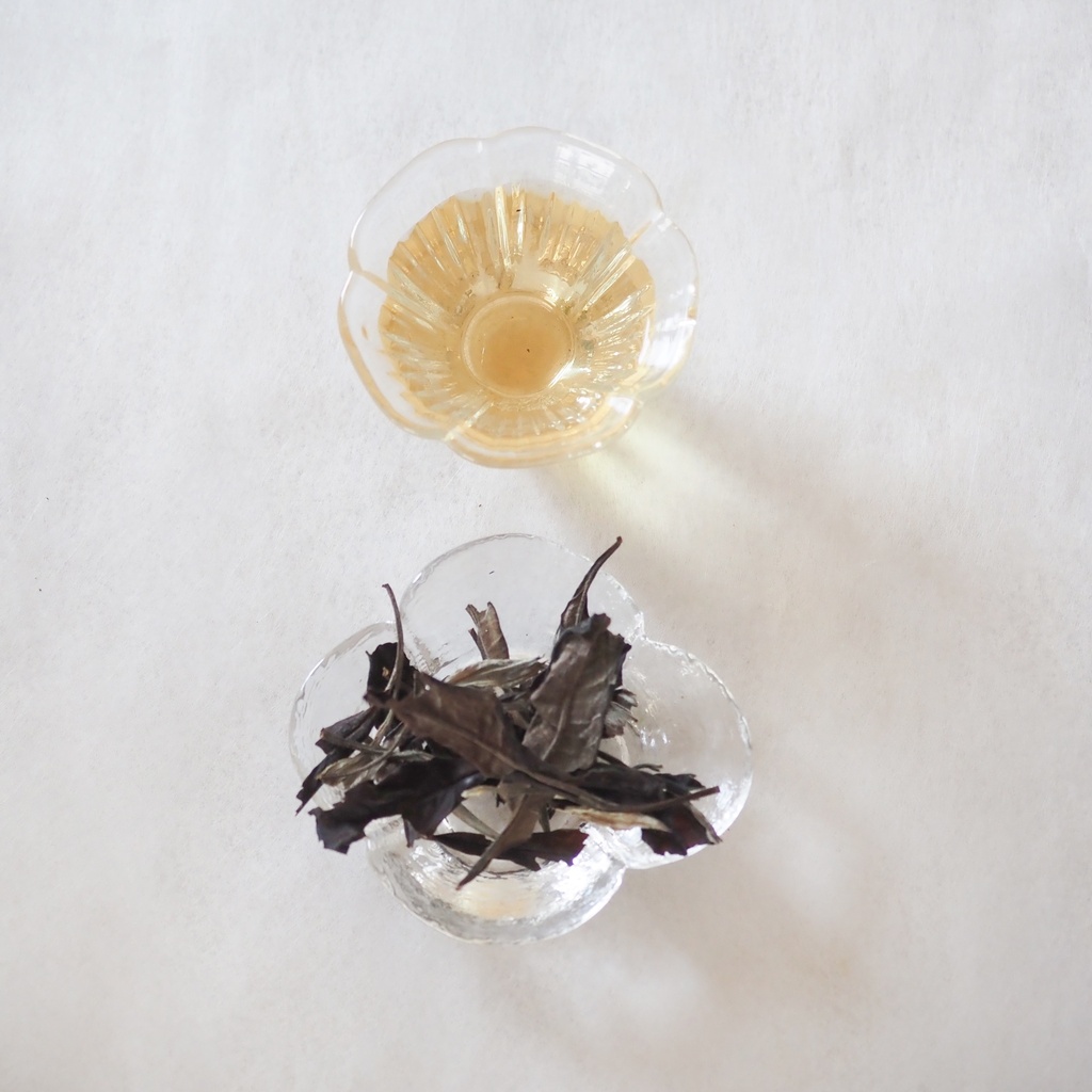 野林 —— Yunnan Large Tree Raw Puerh Tea 2012